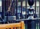 Bank of Scotland